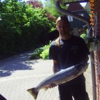 BildDer Lachs 002