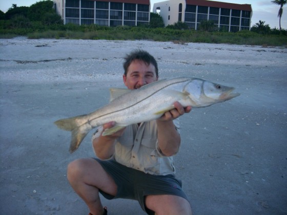 Snook