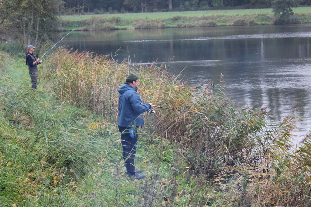 Wo hat sich der Fisch bloss versteckt?