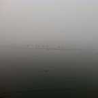 IMG_0384