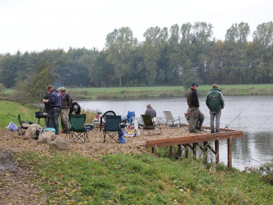 Warten auf heisen Grill und Stämme, die sich festklammern