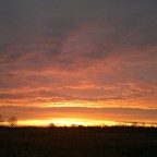 Morgenstimmung