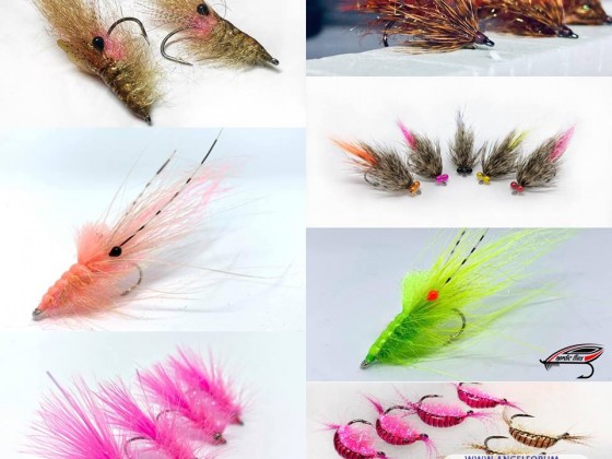 Auf der Suche nach geilen Küstenfliegen.......oder gutem Bindematerial? Dann besucht meinen Shop unter www.nordic-flies.de