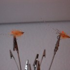 IMG_3971