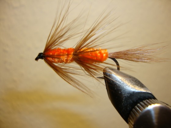 Red Setter NZ-Streamer