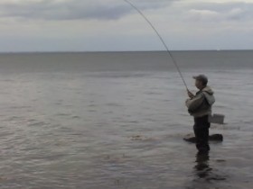 2008
