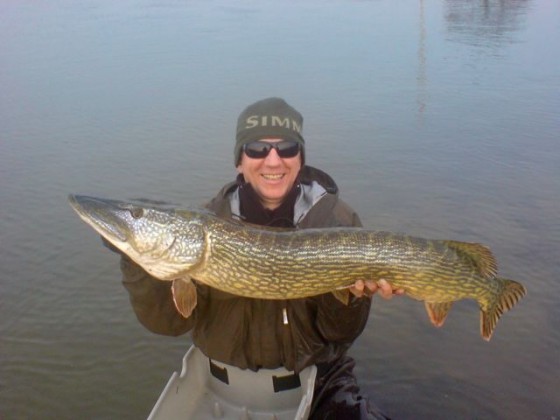 Pike on Fly!