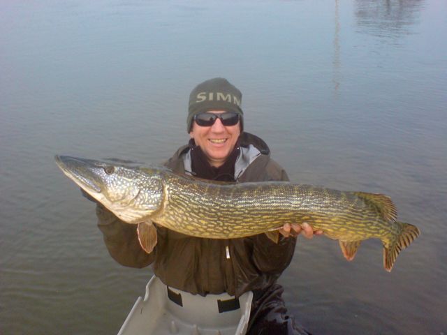 Pike on Fly!