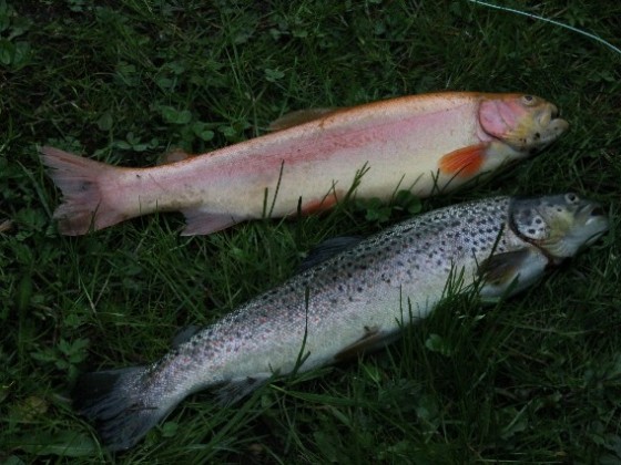 Fliegenfischen Anglers Ruh Coesfeld