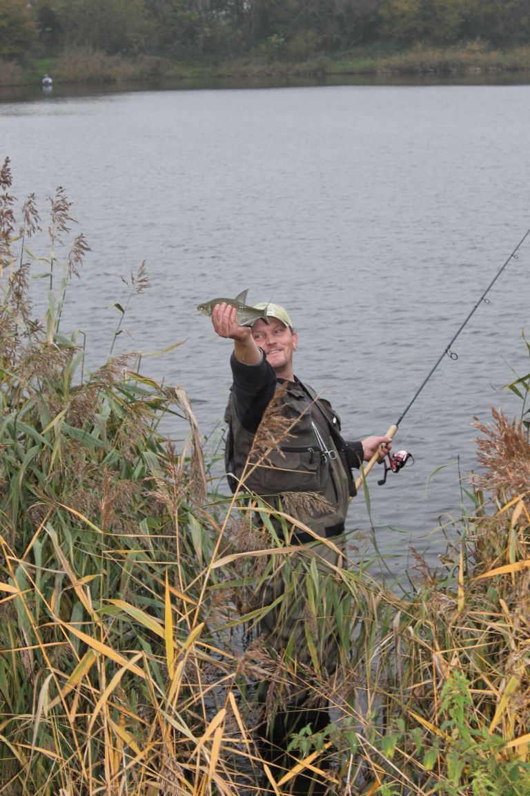 ...fängt den Fisch von Hand